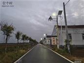 山东省,聊城市,临清市,金郝庄镇,东张村