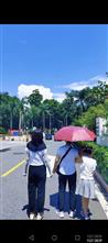 四川省,自贡市,荣县,来牟镇,踏紫村