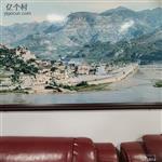 中兴社村 