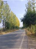 河南省,焦作市,修武县,西村乡,磨石坡村