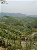 河南省,焦作市,修武县,西村乡,磨石坡村