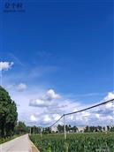 云南省,曲靖市,麒麟区,越州镇,上坡村