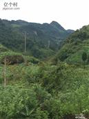 云南省,曲靖市,富源县,富村镇,砂厂村