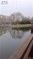 河南省,商丘市,睢阳区,东方街道,金泰社区