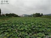 湖北省,黄冈市,红安县,永河镇,永河村