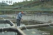 垟畈村 浙江省龙泉市垟畈村