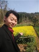 铁路村 风景美丽油菜花海鸟山