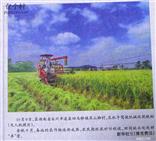 湖南省,永州市,道县,四马桥镇,燕山脚村
