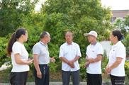 上作村 