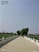 河南省,商丘市,睢阳区,东方街道,侯庙村