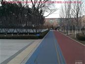 辽宁省,朝阳市,龙城区,半拉山街道,半拉山村