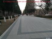 辽宁省,朝阳市,龙城区,半拉山街道,半拉山村