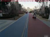 辽宁省,朝阳市,龙城区,半拉山街道,半拉山村
