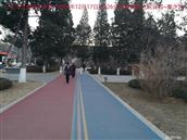 辽宁省,朝阳市,龙城区,半拉山街道,半拉山村