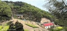 包河花园社区 