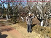 辽宁省,朝阳市,龙城区,半拉山街道,半拉山村