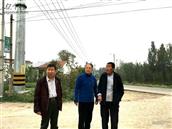 山东省,临沂市,平邑县,丰阳镇,金鹊庄村