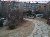 辽宁省,朝阳市,龙城区,半拉山街道,半拉山村