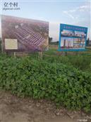 山东省,菏泽市,东明县,马头镇,牛八屯村