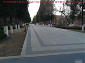辽宁省,朝阳市,龙城区,半拉山街道,半拉山村