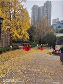 四川省,自贡市,荣县,来牟镇,踏紫村
