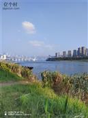 四川省,自贡市,荣县,来牟镇,踏紫村