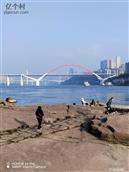 四川省,自贡市,荣县,来牟镇,踏紫村