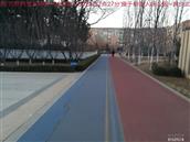 辽宁省,朝阳市,龙城区,半拉山街道,半拉山村