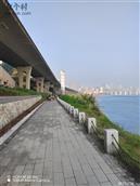 四川省,自贡市,荣县,来牟镇,踏紫村