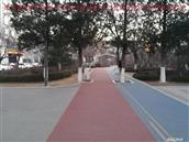 辽宁省,朝阳市,龙城区,半拉山街道,半拉山村