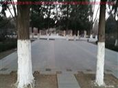 辽宁省,朝阳市,龙城区,半拉山街道,半拉山村