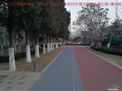 辽宁省,朝阳市,龙城区,半拉山街道,半拉山村
