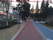 辽宁省,朝阳市,龙城区,半拉山街道,半拉山村