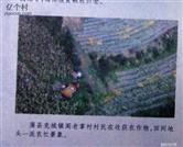 克城村 克城镇克城阁老掌村