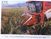 一斗泉村 斗泉乡—斗泉村