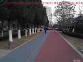 辽宁省,朝阳市,龙城区,半拉山街道,半拉山村