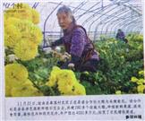 山西省,运城市,垣曲县,皋落乡,皋落村