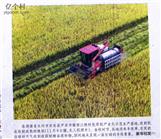 湖南省,永州市,东安县,芦洪市镇,西江桥村