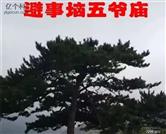 山西省,忻州市,五台县,陈家庄乡,避世脑村