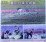 山西省,阳泉市,平定县,张庄镇,夏庄村