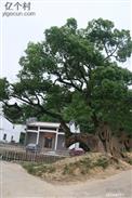 圳玄村 谢屋排法瑄公祠