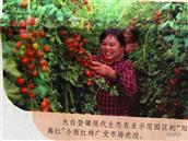 山西省,大同市,阳高县,大白登镇,大白登村