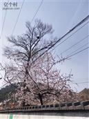 山西省,大同市,灵丘县,上寨镇,庄子沟村