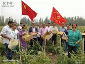 新疆,喀什地区,岳普湖县,艾西曼镇,尤库日科克其村
