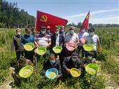 新疆,喀什地区,岳普湖县,艾西曼镇,尤库日科克其村