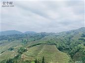 贵州省,黔东南州,从江县,刚边乡,九星村