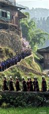 贵州省,黔东南州,凯里市,三棵树镇,南高村