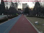 辽宁省,朝阳市,龙城区,半拉山街道,半拉山村