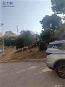 江西省,赣州市,赣县区,田村镇,龙下村