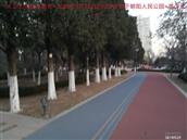 辽宁省,朝阳市,龙城区,半拉山街道,半拉山村